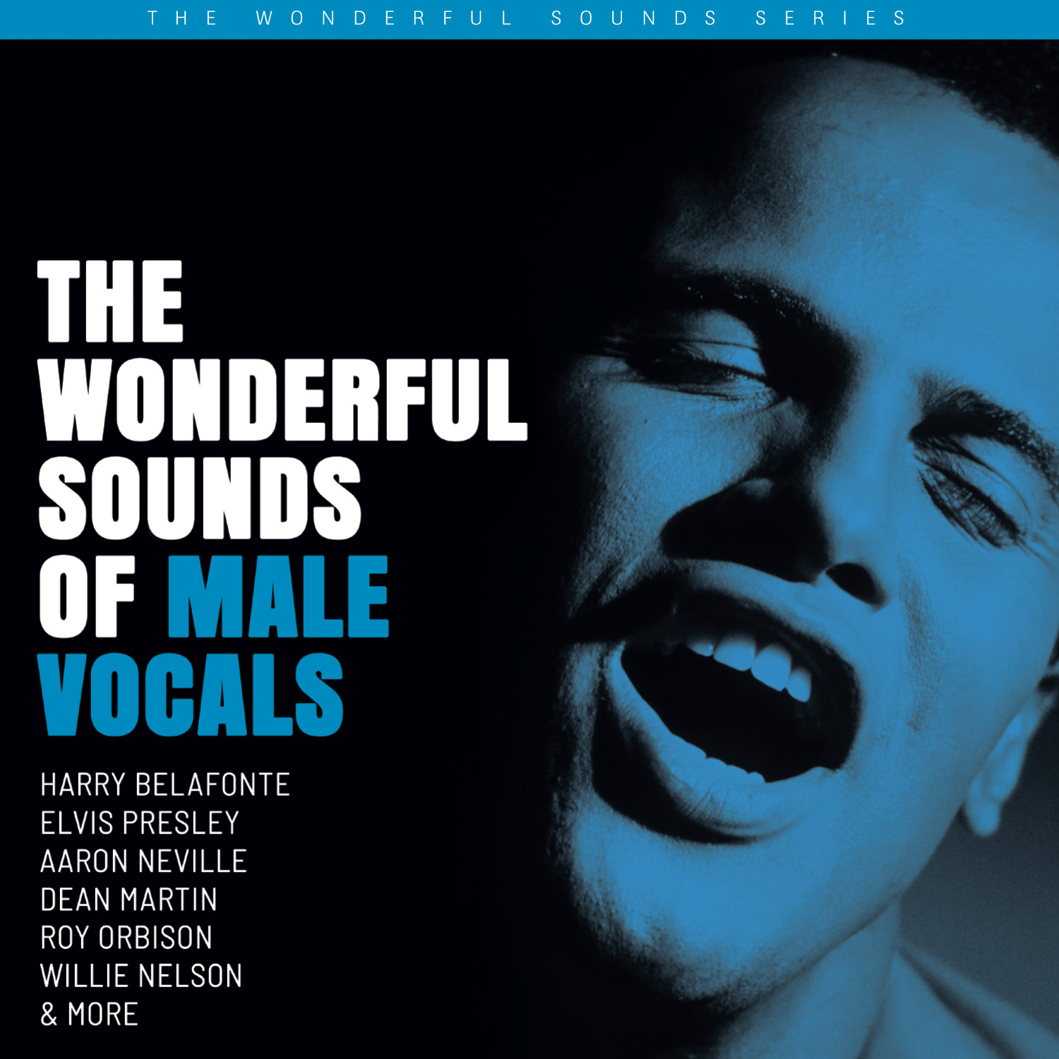 AAPP 131 Wonderful Sounds Male Vocals